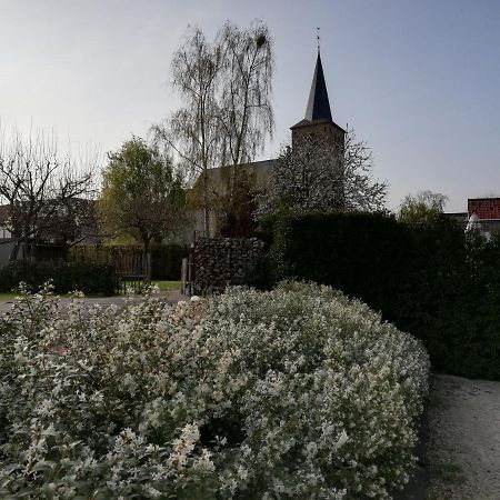 B&B 'T Huys Van Enaeme Oudenaarde Eksteriør bilde